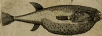 Picture 15 of 21 from Le iardin, et cabinet poetique de Paul Contant, apoticaire de Poictiers (1609), leaf 141