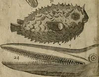An illustration from Le iardin, et cabinet poetique de Paul Contant, apoticaire de Poictiers (1609)