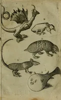 An illustration from Le iardin, et cabinet poetique de Paul Contant, apoticaire de Poictiers (1609)