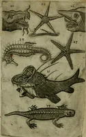 An illustration from Le iardin, et cabinet poetique de Paul Contant, apoticaire de Poictiers (1609)