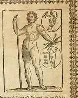 An illustration from Le imagini de gli dei de gli antichi : nelle quali sono descritte la religione de gli antichi li idoli, riti, & ceremonie loro, con l'aggiunta di molte principali imagini che nell'altre mancauano, et con l'espositione in epilogo di ciasceduna & suo significato (1624)