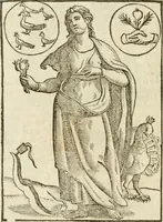 An illustration from Le imagini de gli dei de gli antichi : nelle quali sono descritte la religione de gli antichi li idoli, riti, & ceremonie loro, con l'aggiunta di molte principali imagini che nell'altre mancauano, et con l'espositione in epilogo di ciasceduna & suo significato (1624)