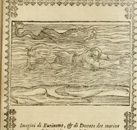 An illustration from Le imagini de gli dei de gli antichi : nelle quali sono descritte la religione de gli antichi li idoli, riti, & ceremonie loro, con l'aggiunta di molte principali imagini che nell'altre mancauano, et con l'espositione in epilogo di ciasceduna & suo significato (1624)