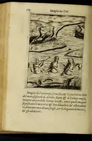 An illustration from Le imagini de gli dei de gli antichi, del signor Vincenzo Cartari regiano, nelle quali sono descritte la religione de gli antichi, li idoli, riti, & ceremonie loro, con l'agiunta di molte principali imagini, che nell'altre mancauano, et con l'espositione in epilogo di ciascheduna & suo significato. Estratta dall'istesso Cartari per Cesare Malfatti padoano, con vn cathalogo del medesimo di cento e più famosi dei loro natura e proprietà, estratto da questo & altri autori: opera vtilissima à historici, poeti, pittori, scultori, & professori di belle lettere .. (1609)