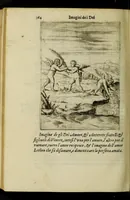 Picture 23 of 24 from Le imagini de gli dei de gli antichi, del signor Vincenzo Cartari regiano, nelle quali sono descritte la religione de gli antichi, li idoli, riti, & ceremonie loro, con l'agiunta di molte principali imagini, che nell'altre mancauano, et con l'espositione in epilogo di ciascheduna & suo significato. Estratta dall'istesso Cartari per Cesare Malfatti padoano, con vn cathalogo del medesimo di cento e più famosi dei loro natura e proprietà, estratto da questo & altri autori: opera vtilissima à historici, poeti, pittori, scultori, & professori di belle lettere .. (1609), leaf 400