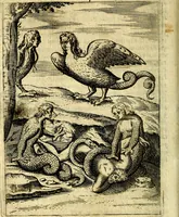 An illustration from Le imagini de gli dei de gli antichi del signor Vincenzo Cartari, reggiano : nelle quali sono descritte la religione de gli antichi, li idoli, riti & ceremonie loro ... et con l'espositione in epilogo di ciascheduna & suo significato : estrata dall' istesso Cartari per Cesare Malfatti .. (1625)