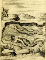 Picture 48 of 106 from Le imagini de gli dei de gli antichi (1609), leaf 226