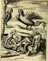 Picture 55 of 106 from Le imagini de gli dei de gli antichi (1609), leaf 253