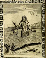 An illustration from Le imagini dei degli antichi (1608)