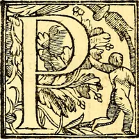 An illustration from Le imagini de i dei de gli antichi : nelle qvali si contengono gl' idoli, i riti, le cerimonie, & altre cose appartenenti alla religione de gli antichi (1592)