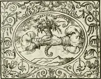 An illustration from Le imprese heroiche et morali (1559)