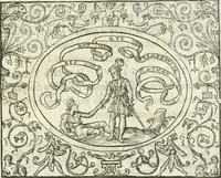 Picture 38 of 39 from Le imprese heroiche et morali (1559), leaf 52