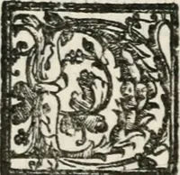 Picture 58 of 246 from Le imprese illustri : con espositioni et discorsi del Sor Ieronimo Ruscelli : al serenissimo et sempre felicissimo re Catolico Filippo D'Austaria : con la giunta di altre imprese tutto riordinato et corretto da Fran.co Patritio (1572), leaf 141
