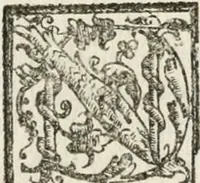 An illustration from Le imprese illustri : con espositioni et discorsi del Sor Ieronimo Ruscelli : al serenissimo et sempre felicissimo re Catolico Filippo D'Austaria : con la giunta di altre imprese tutto riordinato et corretto da Fran.co Patritio (1572)