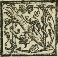 Picture 96 of 246 from Le imprese illustri : con espositioni et discorsi del Sor Ieronimo Ruscelli : al serenissimo et sempre felicissimo re Catolico Filippo D'Austaria : con la giunta di altre imprese tutto riordinato et corretto da Fran.co Patritio (1572), leaf 242