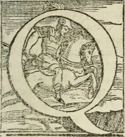 Picture 124 of 246 from Le imprese illustri : con espositioni et discorsi del Sor Ieronimo Ruscelli : al serenissimo et sempre felicissimo re Catolico Filippo D'Austaria : con la giunta di altre imprese tutto riordinato et corretto da Fran.co Patritio (1572), leaf 302