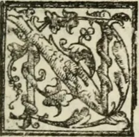 Picture 130 of 246 from Le imprese illustri : con espositioni et discorsi del Sor Ieronimo Ruscelli : al serenissimo et sempre felicissimo re Catolico Filippo D'Austaria : con la giunta di altre imprese tutto riordinato et corretto da Fran.co Patritio (1572), leaf 314