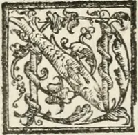 Picture 132 of 246 from Le imprese illustri : con espositioni et discorsi del Sor Ieronimo Ruscelli : al serenissimo et sempre felicissimo re Catolico Filippo D'Austaria : con la giunta di altre imprese tutto riordinato et corretto da Fran.co Patritio (1572), leaf 321