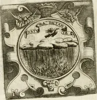 Picture 141 of 246 from Le imprese illustri : con espositioni et discorsi del Sor Ieronimo Ruscelli : al serenissimo et sempre felicissimo re Catolico Filippo D'Austaria : con la giunta di altre imprese tutto riordinato et corretto da Fran.co Patritio (1572), leaf 347