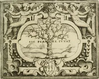 Picture 218 of 246 from Le imprese illustri : con espositioni et discorsi del Sor Ieronimo Ruscelli : al serenissimo et sempre felicissimo re Catolico Filippo D'Austaria : con la giunta di altre imprese tutto riordinato et corretto da Fran.co Patritio (1572), leaf 546