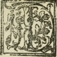 An illustration from Le imprese illustri : con espositioni et discorsi del Sor Ieronimo Ruscelli : al serenissimo et sempre felicissimo re Catolico Filippo D'Austaria : con la giunta di altre imprese tutto riordinato et corretto da Fran.co Patritio (1572)