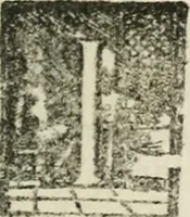 An illustration from Le imprese illustri : con espositioni et discorsi del Sor Ieronimo Ruscelli : al serenissimo et sempre felicissimo re Catolico Filippo D'Austaria : con la giunta di altre imprese tutto riordinato et corretto da Fran.co Patritio (1572)
