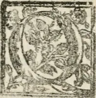An illustration from Le imprese illustri : con espositioni et discorsi del Sor Ieronimo Ruscelli : al serenissimo et sempre felicissimo re Catolico Filippo D'Austaria : con la giunta di altre imprese tutto riordinato et corretto da Fran.co Patritio (1572)