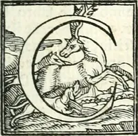 An illustration from Le imprese illustri (1566)