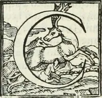 An illustration from Le imprese illustri (1566)