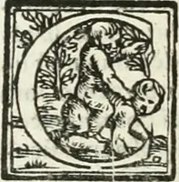 An illustration from Le imprese illustri (1566)