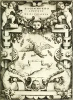 Picture 137 of 212 from Le imprese illustri (1566), leaf 412