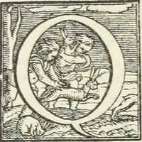 An illustration from Le imprese illustri (1566)