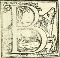 An illustration from Le imprese illustri (1566)