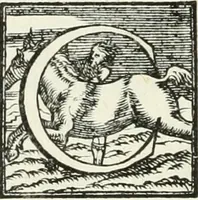 An illustration from Le imprese illustri (1566)