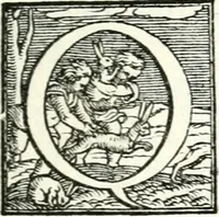 An illustration from Le imprese illustri (1566)