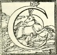An illustration from Le imprese illustri (1566)