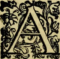 An illustration from Le imprese illustri del S.or Ieronimo Ruscelli. (1584)