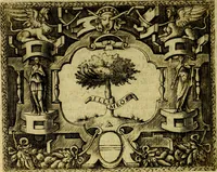 Picture 85 of 290 from Le imprese illustri del S.or Ieronimo Ruscelli. (1584), leaf 189