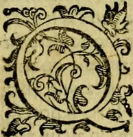 An illustration from Le imprese illustri del S.or Ieronimo Ruscelli. (1584)