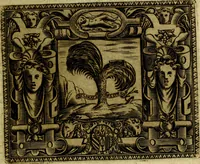 Picture 109 of 290 from Le imprese illustri del S.or Ieronimo Ruscelli. (1584), leaf 228