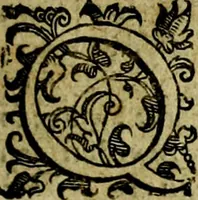 Picture 116 of 290 from Le imprese illustri del S.or Ieronimo Ruscelli. (1584), leaf 242