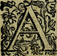 Picture 132 of 290 from Le imprese illustri del S.or Ieronimo Ruscelli. (1584), leaf 278