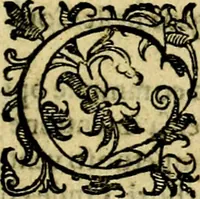 An illustration from Le imprese illustri del S.or Ieronimo Ruscelli. (1584)