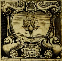 Picture 21 of 290 from Le imprese illustri del S.or Ieronimo Ruscelli. (1584), leaf 51