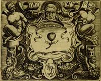 Picture 263 of 290 from Le imprese illustri del S.or Ieronimo Ruscelli. (1584), leaf 551
