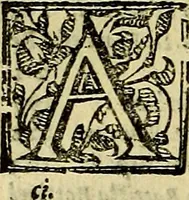 An illustration from Le imprese illustri del S.or Ieronimo Ruscelli. (1584)