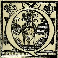 An illustration from Le imprese illustri del S.or Ieronimo Ruscelli. (1584)
