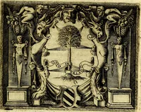 An illustration from Le imprese illustri del S.or Ieronimo Ruscelli. (1584)