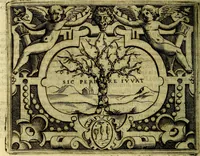 Picture 123 of 175 from Le imprese illustri del S.or Ieronimo Ruscelli. (1584), leaf 479