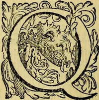 Picture 146 of 175 from Le imprese illustri del S.or Ieronimo Ruscelli. (1584), leaf 555